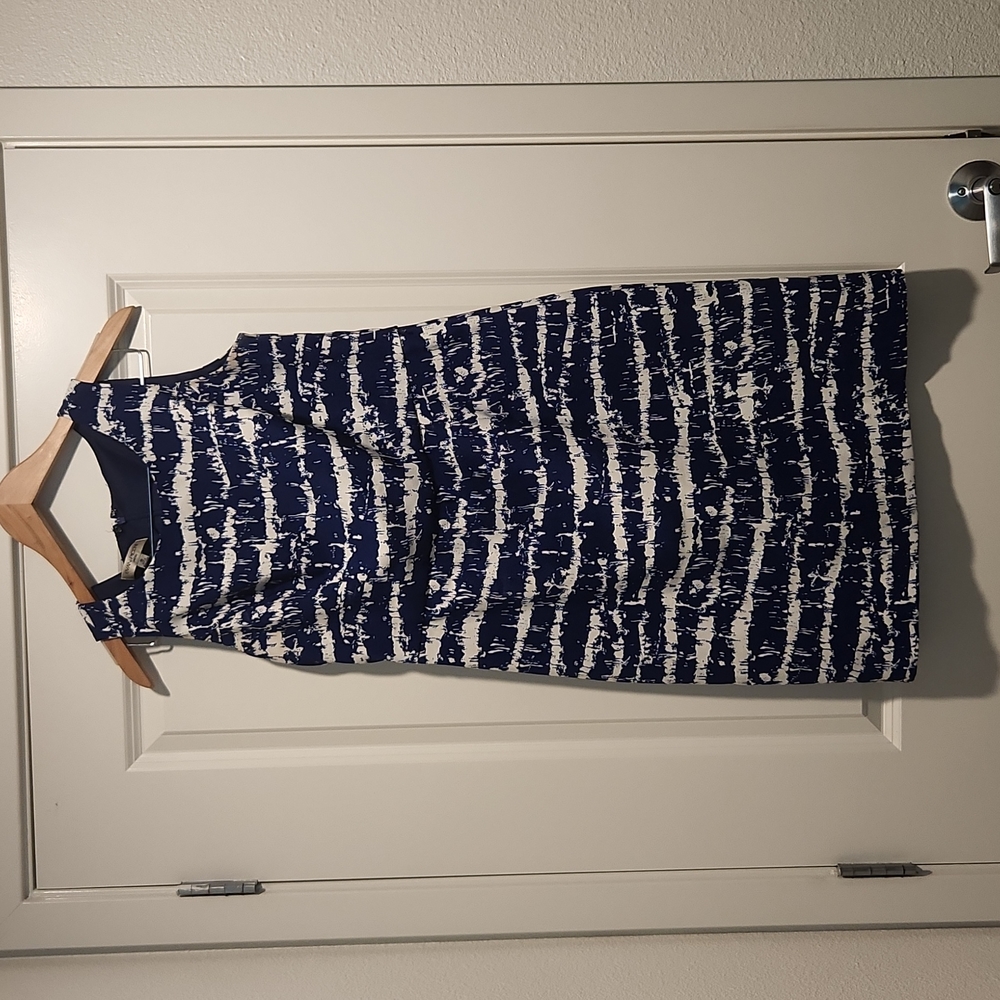 Evan-Picone Dress